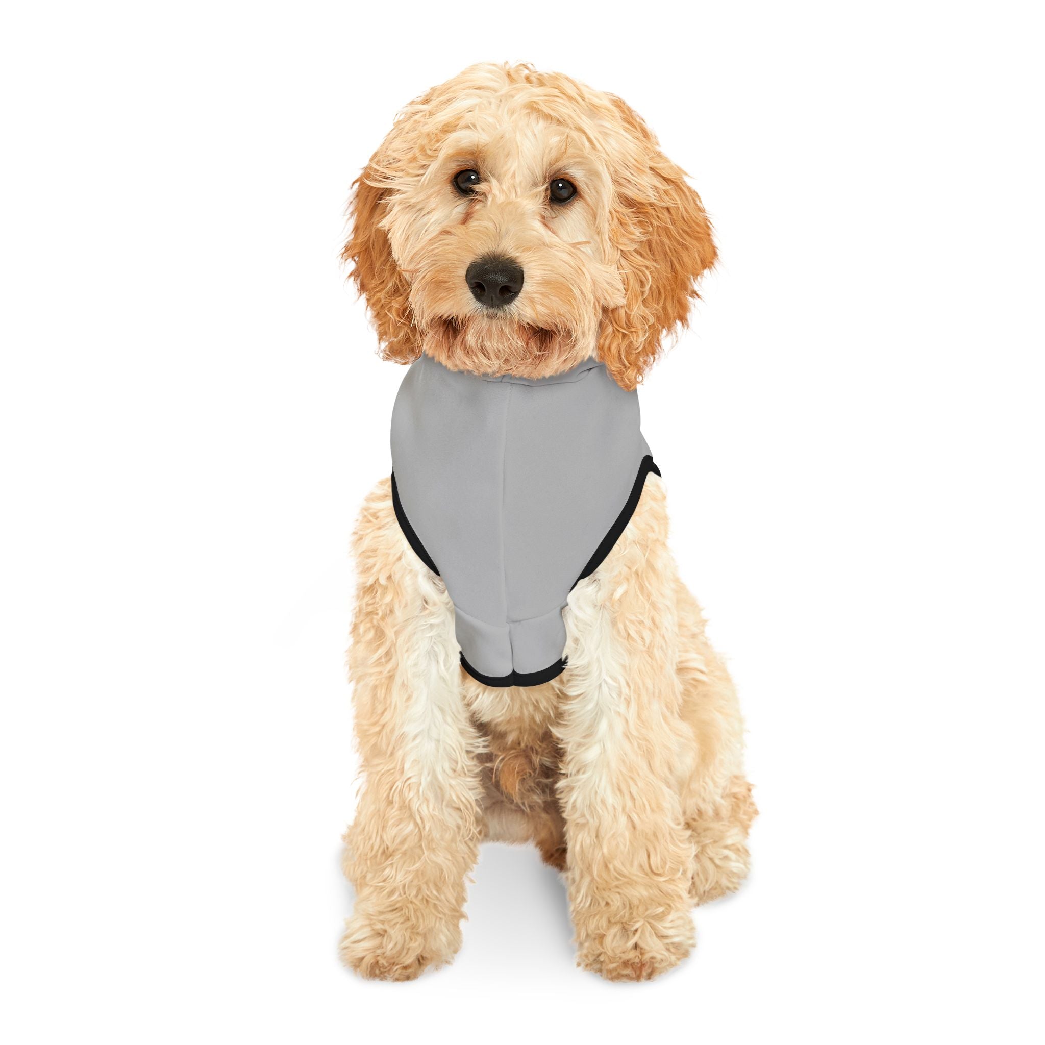 Fiscally Conservative, Socially Liberal Dog Hoodie – Funny Political Pet Sweatshirt for Opinionated Pups